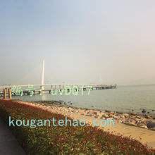 ѡ